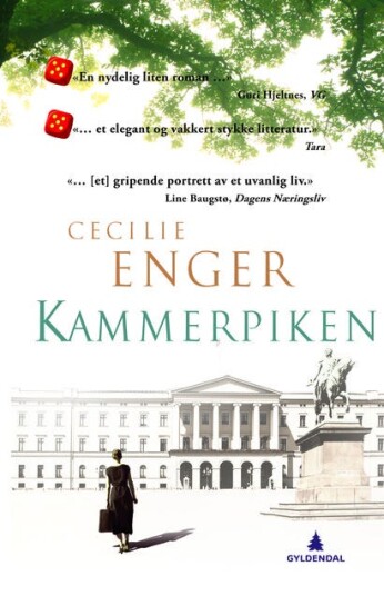 Kammerpiken roman