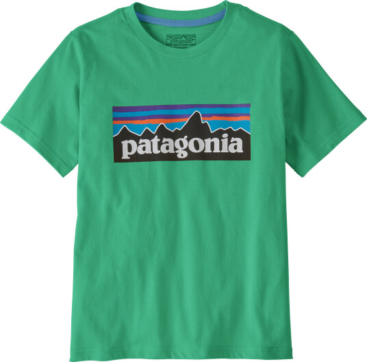 Patagonia Kids' P 6 Logo T Shirt Aqua Stone M