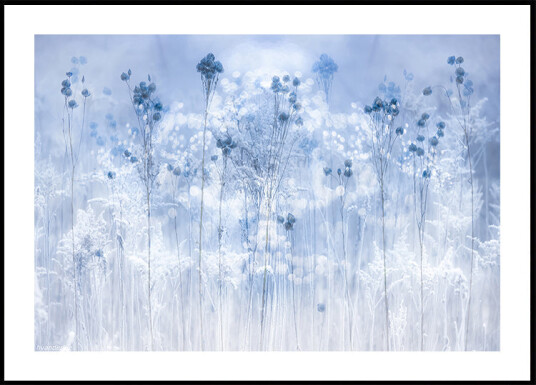 Icy blue Plakat Plakat / 30x40cm
