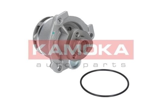 KAMOKA T0234 Vannpumpe