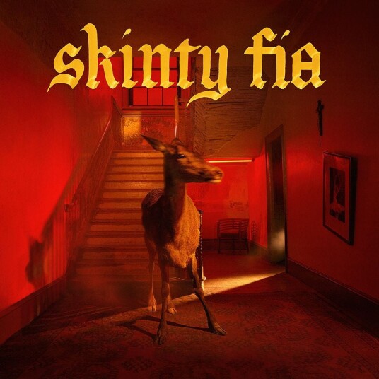 Fontaines D.C. Skinty Fia CD Fontaines D.C. Skinty Fia CD