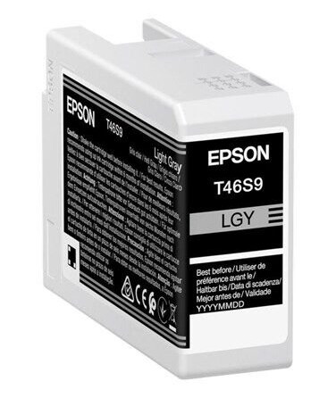 Epson Singlepack Light Gray T46S9 UltraChrome Pro - Blekkpatron Light grey Epson Singlepack Light Gray T46S9 UltraChrome Pro - Blekkpatron Light grey