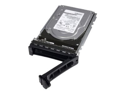 Dell - Harddisk - 2 Tb - Hot-Swap - 3.5" - Sas 6Gb/S - 7200 Rpm - For Poweredge C6220, R220, R320, T110, T320, T420, T630, Vrtx M520, Vrtx M620