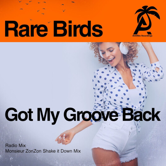 Rare Birds Got My Groove Back CD