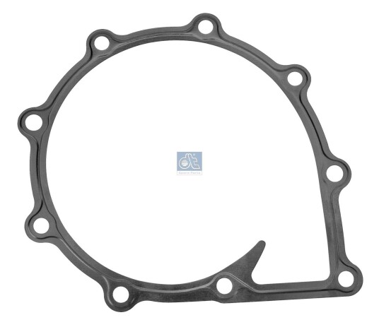 DT Spare Parts 3.16113 Pakning vannpumpe