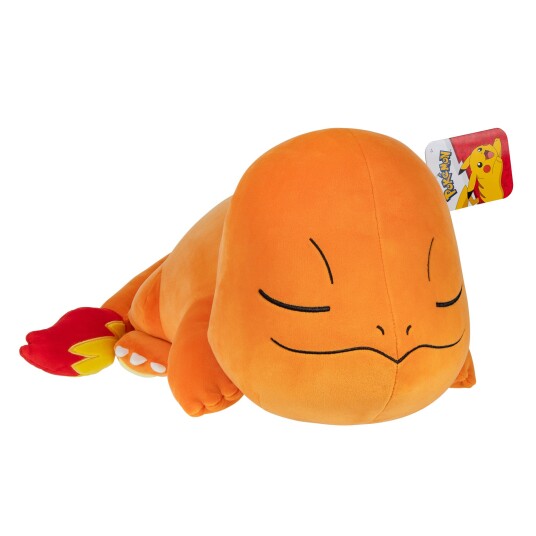 Pokemon Sleeping Charmander