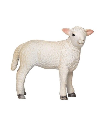 Mojo   Farmland Romney Lamb Standing   381065