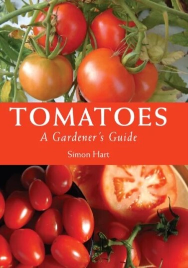 Tomatoes Av Simon Hart