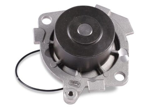 HEPU P1045 Vannpumpe HEPU P1045 Vannpumpe