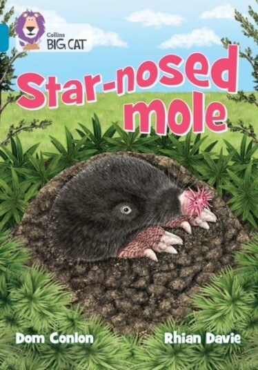 Starnosed Mole  Band 13/Topaz