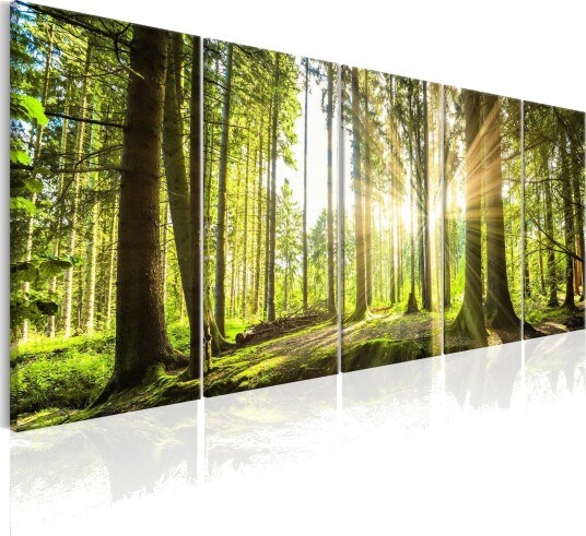 Bilde Sunlight 225x90 Artgeist sp. z o. o.