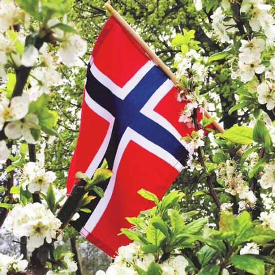 Lunsj serviett Norske Flagg i epletre fra Ambiente Lunsj serviett Norske Flagg i epletre fra Ambiente