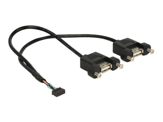 Delock intern-til-ekstern USB-kabel - 10-pins USB-kontakt til USB - 25 cm