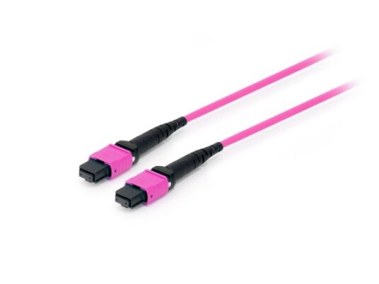 Utstyr Pro - Trunkkabel - Mtp/Upc Multimodus (W) Til Mtp/Upc Multimodus (W) - 3 M - Fiberoptisk - 50/125 Mikron - Om4 - Lilla Utstyr Pro - Trunkkabel - Mtp/Upc Multimodus (W) Til Mtp/Upc Multimodus (W) - 3 M - Fiberoptisk - 50/125 Mikron - Om4 - Lilla
