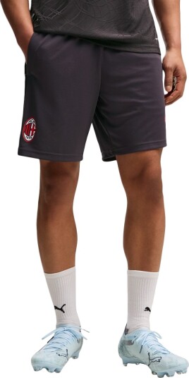 PUMA Acm Training Shorts W/ Pockets Grey XXL