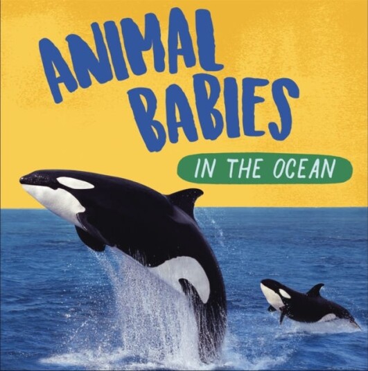 Animal Babies: In The Ocean Av Sarah Ridley