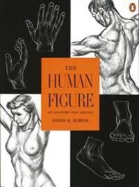 Rubins David K. The Human Figure: An Anatomy for Artists