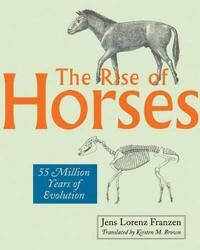 Franzen Jens Lorenz The Rise of Horses