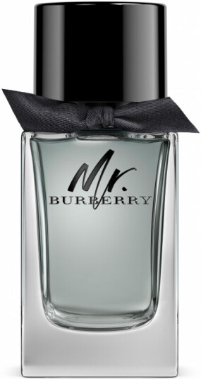 Burberry Mr. Burberry Eau de Toilette for Men 100ml