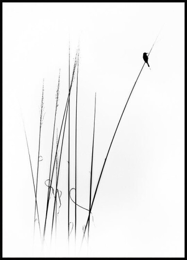 a sabbatical Plakat / 70x100cm