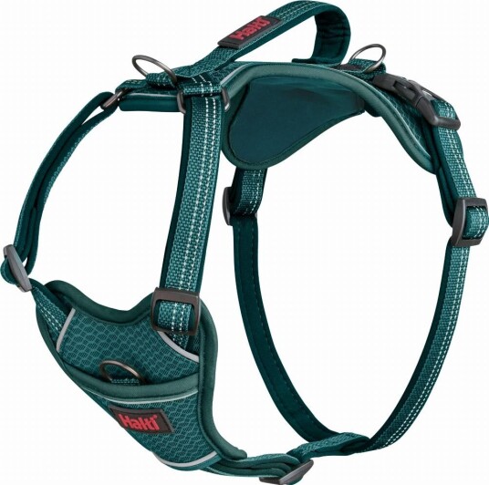 Halti Anatomy Dog Harness - Teal XL