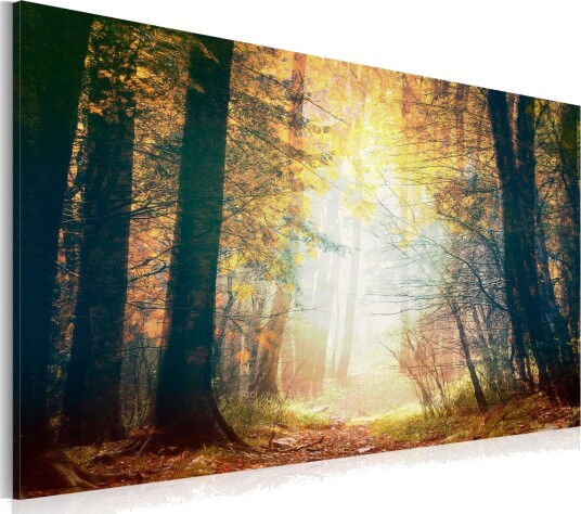 Bilde The beauty of autumn120x80 Artgeist sp. z o. o.