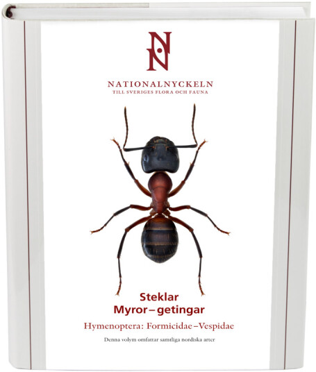 Steklar: Myror   getingar. Hymenoptera: Formicidae–vespidae