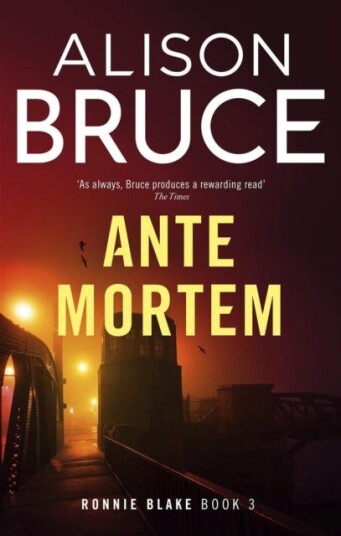 Untitled 2025 Crime Novel