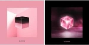 Blackpink - Square Up [import] (Random cover)