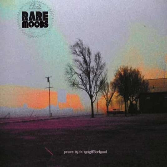 Rare Moods Peace In Da Neighborhood CD Rare Moods Peace In Da Neighborhood CD