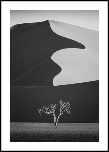 Light & shadow Plakat Plakat / 40x50cm Light & shadow Plakat Plakat / 40x50cm