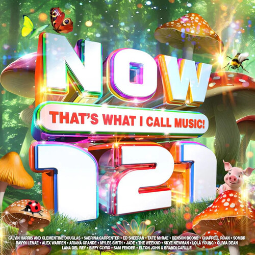 Diverse Artister Now That's What I Call Music! 121 CD