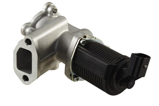 EGR Ventil HELLA 6NU 010 171-451