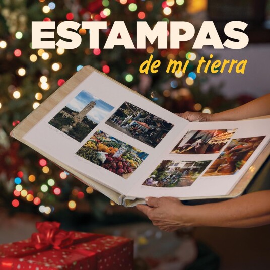 Diverse Artister Estampas De Mi Tierra CD