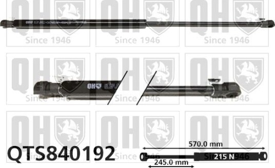 QUINTON HAZELL QTS840192 Baklukedemper