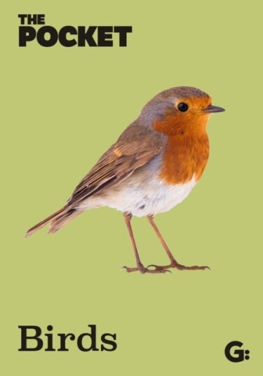 The Pocket Birds