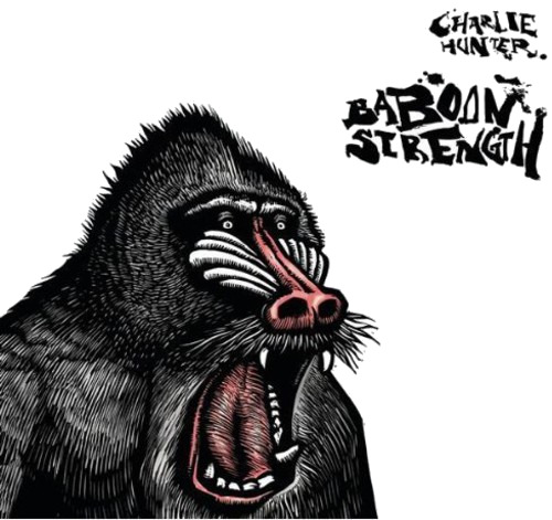 Charlie Hunter Baboon Strength CD