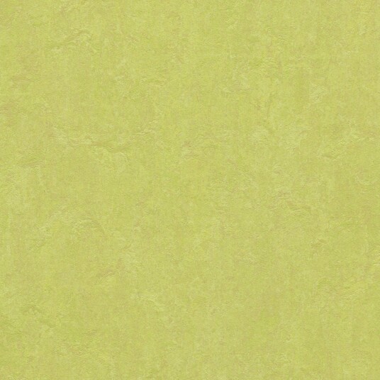 Linoleumsgulv Forbo Marmoleum Click Spring Buds 30x30 cm