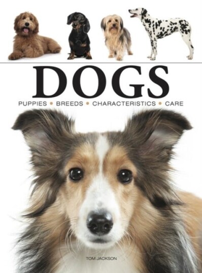 Dogs Dogs