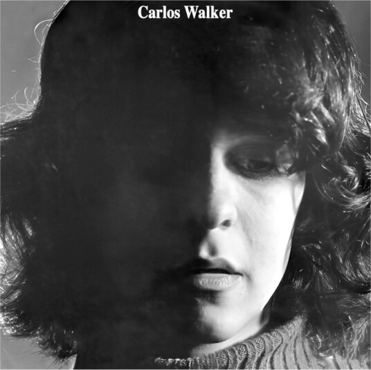Carlos Walker A Frauta De Pa CD
