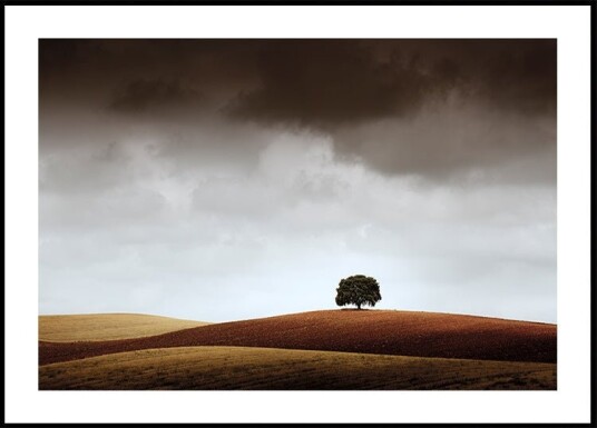 Tuve Que Pararme al Verla Poster Plakat / 100x150cm