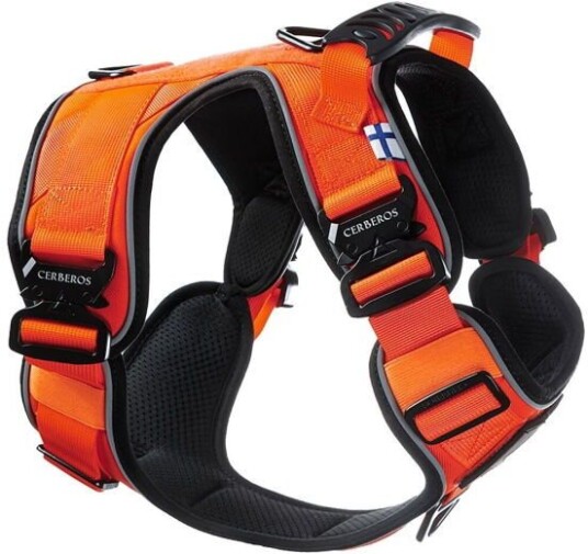 Cerberos Active Rescue Hundesele Orange (M)
