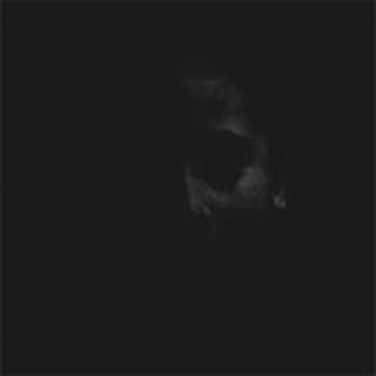 Todeskult Apathy CD Todeskult Apathy CD