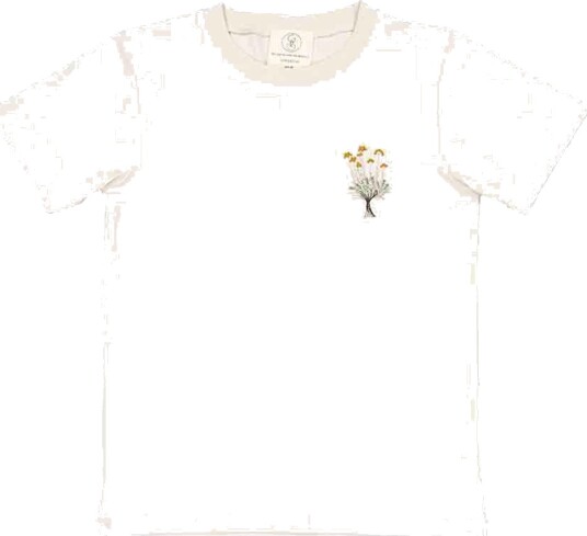 Gro T skjorte Norr Moonbean Gro 2 år 92 T skjorte Beige