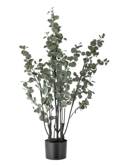 Bloomingville Eucalyptus Plant Green Ø 18 cm