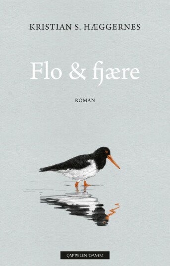 Flo & Fjære Av Kristian S. Hæggernes