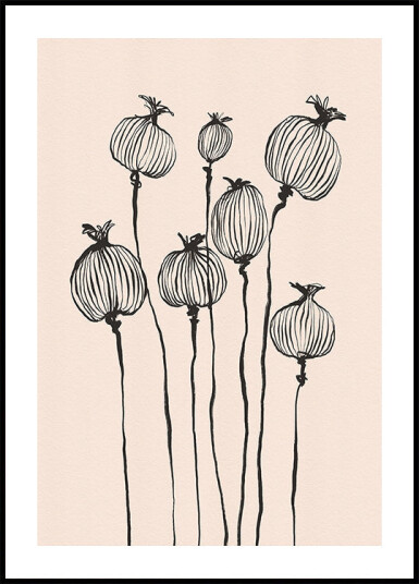 Poppy Pods Plakat Plakat / 100x150cm