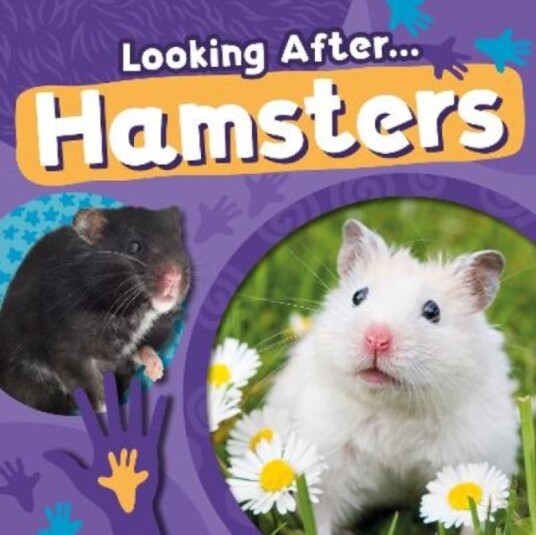 Hamsters Hamsters