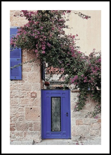 Vibrant Doorway with Bougainvillea Plakat Plakat / 100x150cm