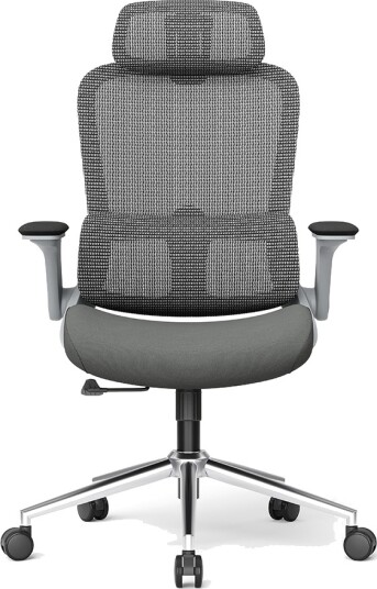 Ergonomisk kontorstol med nakkestøtte / høydejusterbar skrivebordsstol i mesh / grå stol med 5 års garanti
